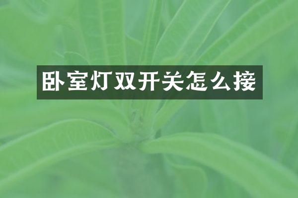 卧室灯双开关怎么接