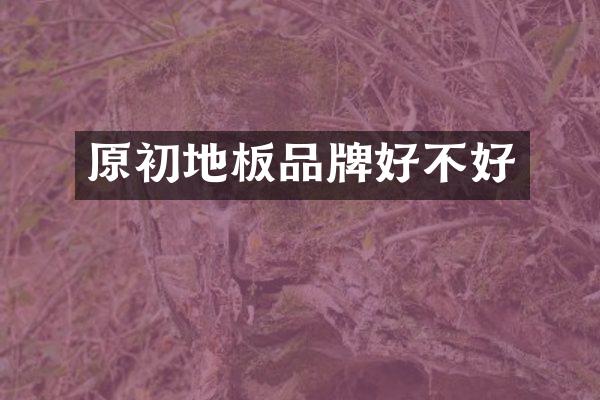 原初地板品牌好不好