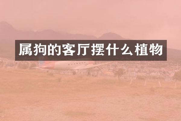属狗的客厅摆什么植物
