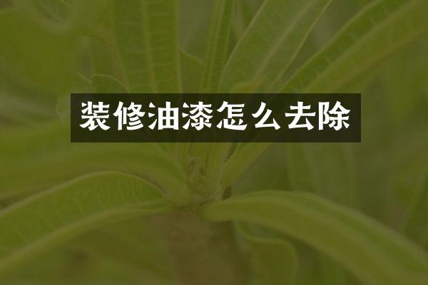 装修油漆怎么去除