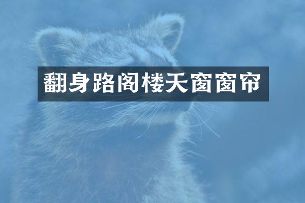 翻身路阁楼天窗窗帘