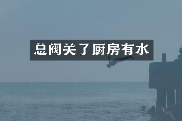 总阀关了厨房有水
