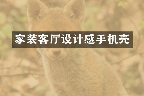 家装客厅设计感手机壳