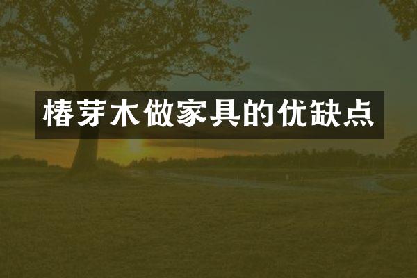 椿芽木做家具的优缺点