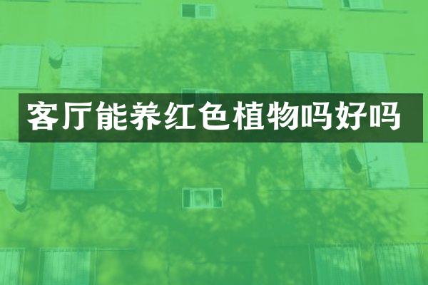 客厅能养红色植物吗好吗