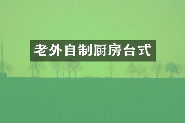 老外自制厨房台式