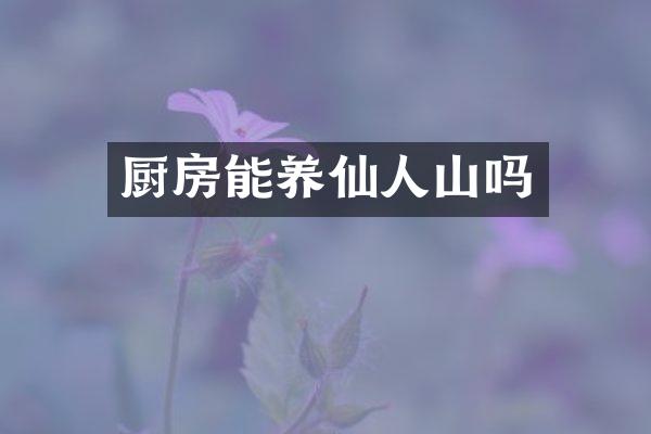 厨房能养仙人山吗