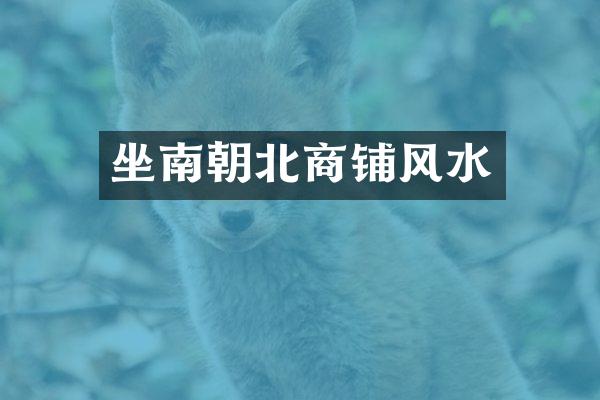 坐南朝北商铺风水