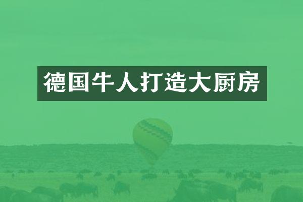 德国牛人打造大厨房