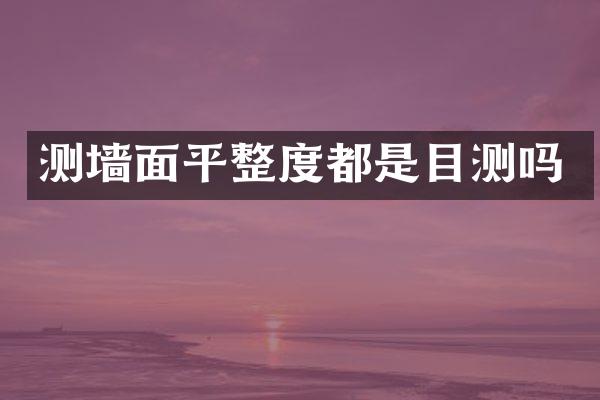 测墙面平整度都是目测吗
