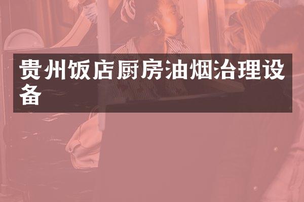 贵州饭店厨房油烟治理设备