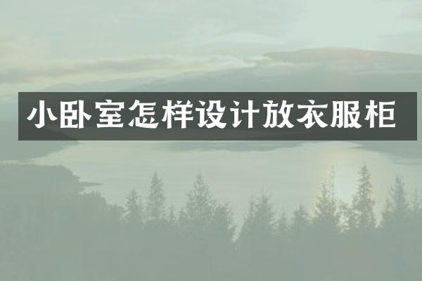 小卧室怎样设计放衣服柜