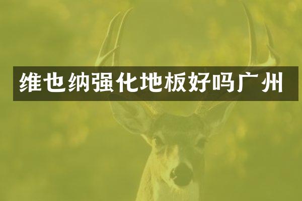 维也纳强化地板好吗广州