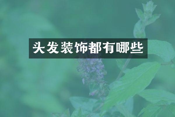 头发装饰都有哪些