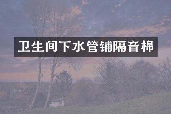 卫生间下水管铺隔音棉