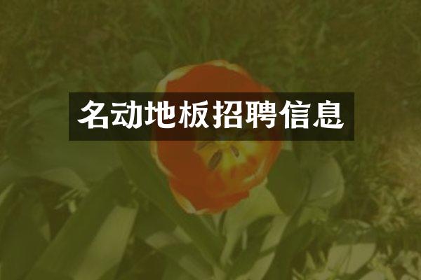 名动地板招聘信息