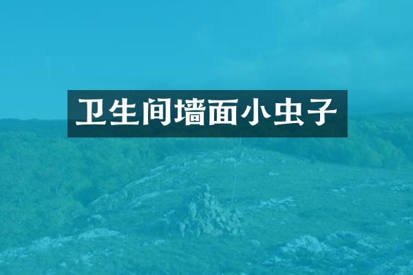 卫生间墙面小虫子