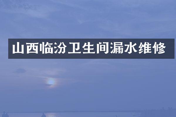 山西临汾卫生间漏水维修