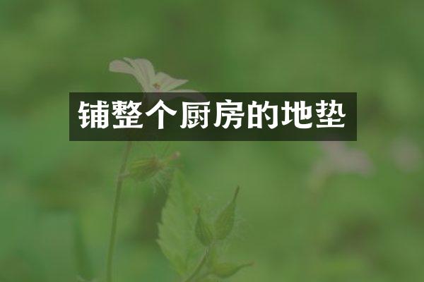 铺整个厨房的地垫