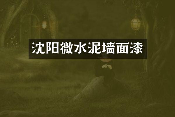 沈阳微水泥墙面漆