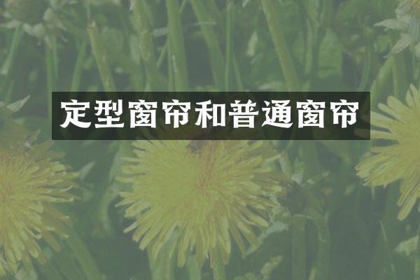 定型窗帘和普通窗帘