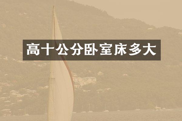高十公分卧室床多大