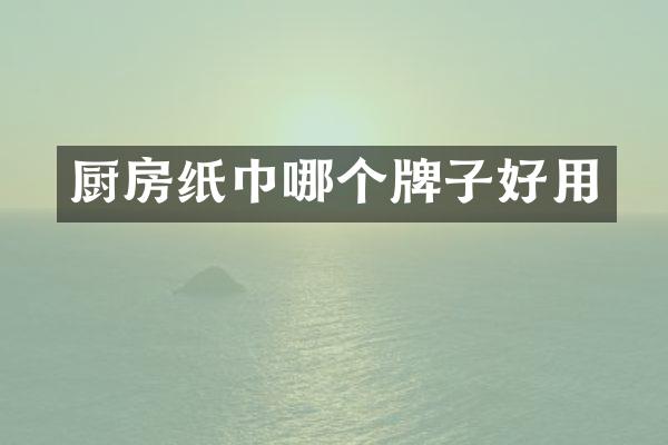 厨房纸巾哪个牌子好用