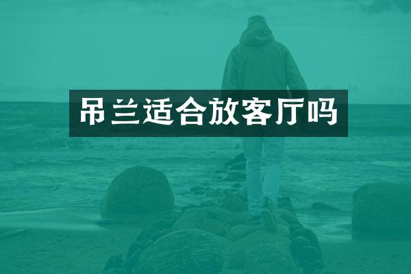 吊兰适合放客厅吗