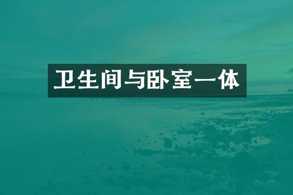 卫生间与卧室一体