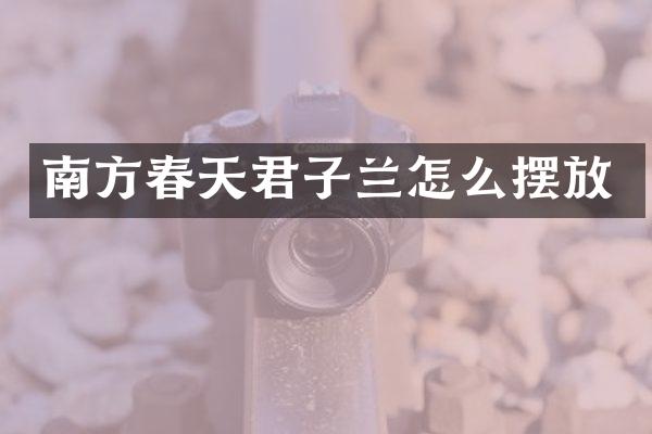 南方春天君子兰怎么摆放