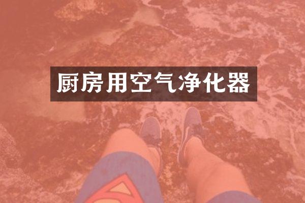 厨房用空气净化器