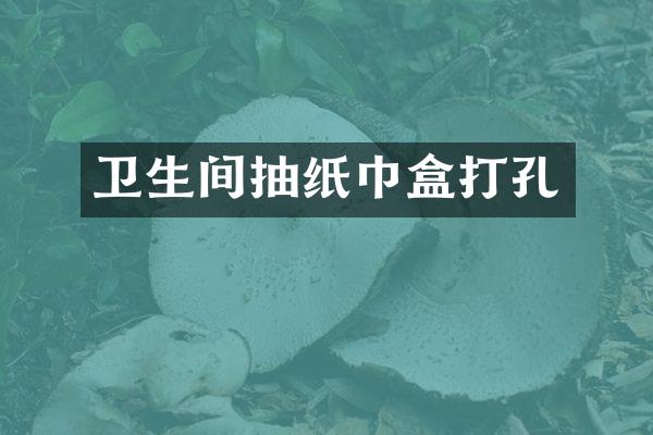 卫生间抽纸巾盒打孔
