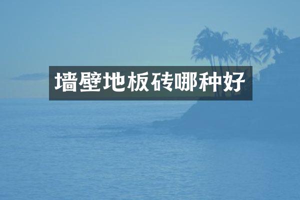 墙壁地板砖哪种好