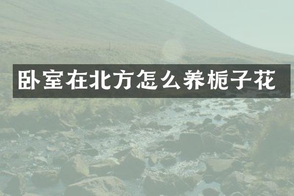 卧室在北方怎么养栀子花
