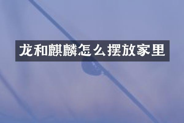 龙和麒麟怎么摆放家里