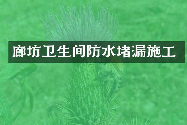 廊坊卫生间防水堵漏施工