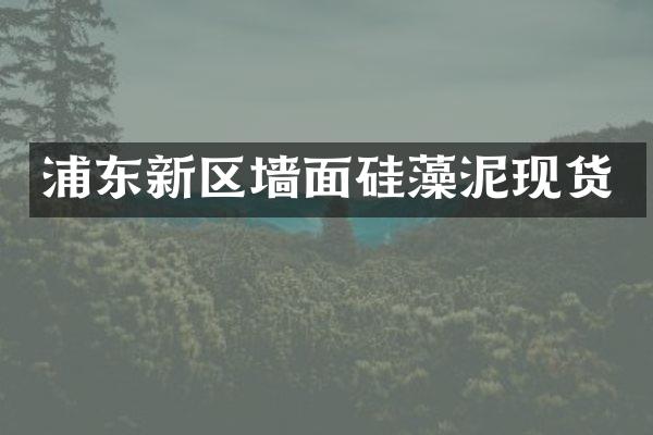 浦东新区墙面硅藻泥现货