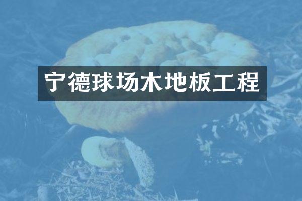 宁德球场木地板工程
