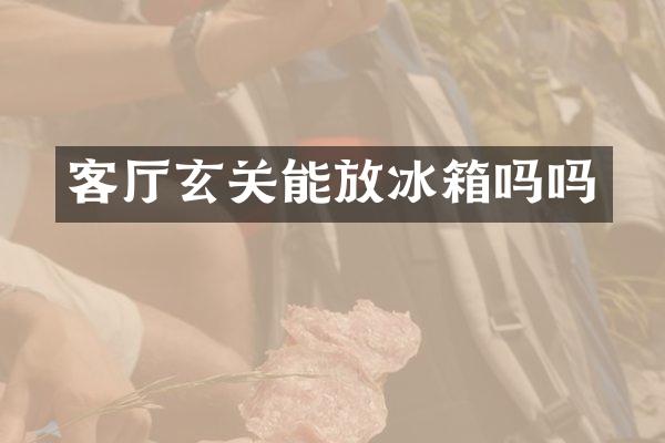 客厅玄关能放冰箱吗吗