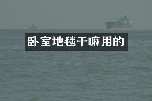 卧室地毯干嘛用的