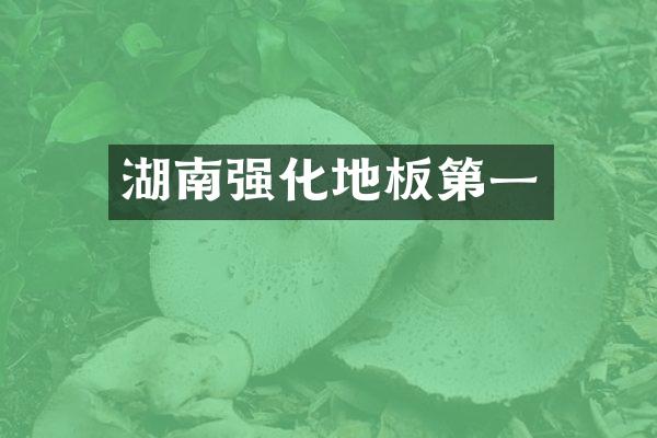 湖南强化地板第一