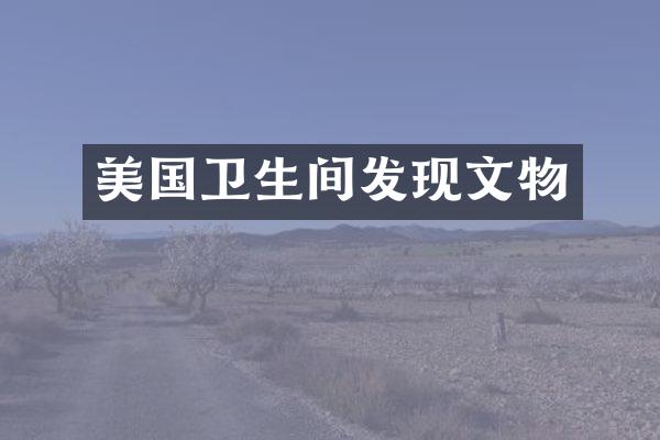 美国卫生间发现文物