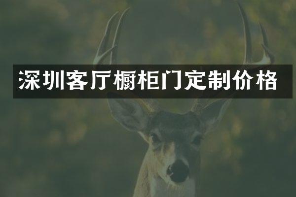 深圳客厅橱柜门定制价格