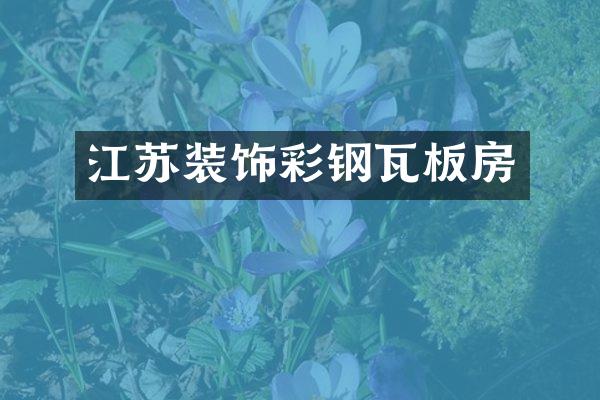 江苏装饰彩钢瓦板房