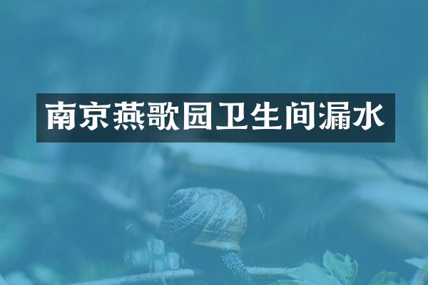 南京燕歌园卫生间漏水