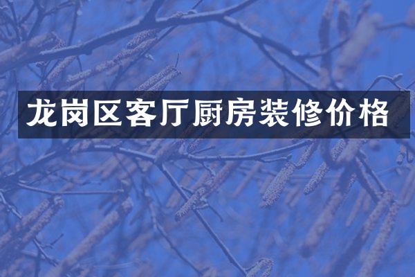 龙岗区客厅厨房装修价格