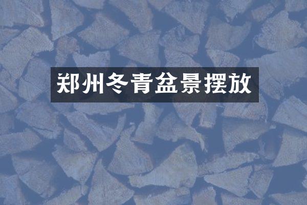 郑州冬青盆景摆放