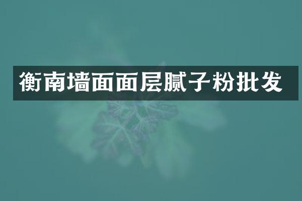 衡南墙面面层腻子粉批发
