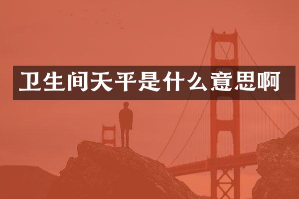 卫生间天平是什么意思啊