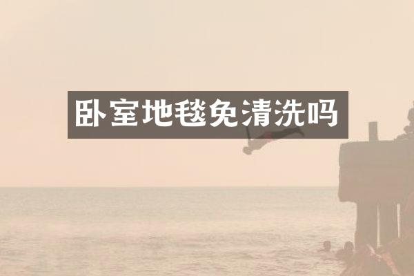 卧室地毯免清洗吗